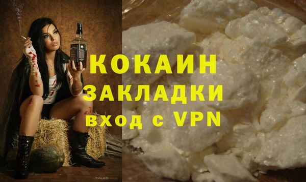 прущие грибы Армянск