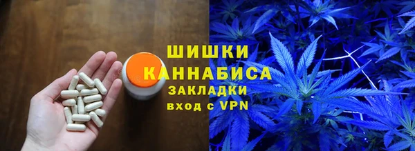 прущая мука Арсеньев