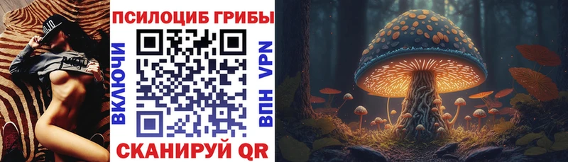 Галлюциногенные грибы прущие грибы Балтийск
