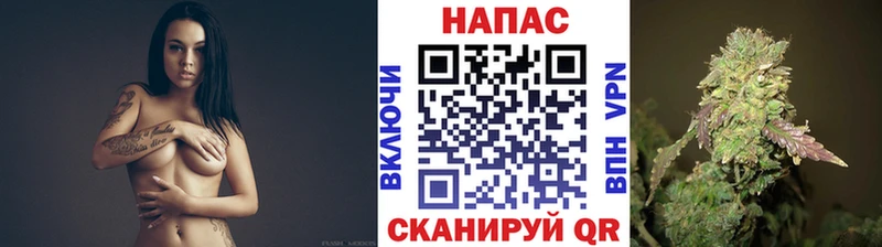 Конопля гибрид  цены наркотик  Балтийск 